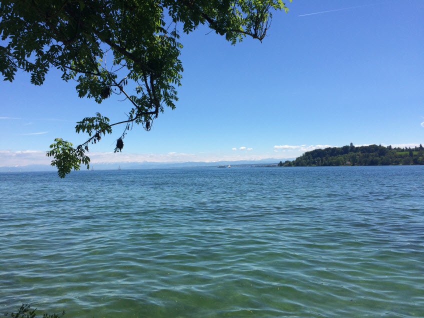 Ausblick auf den Bodensee vom Ufer