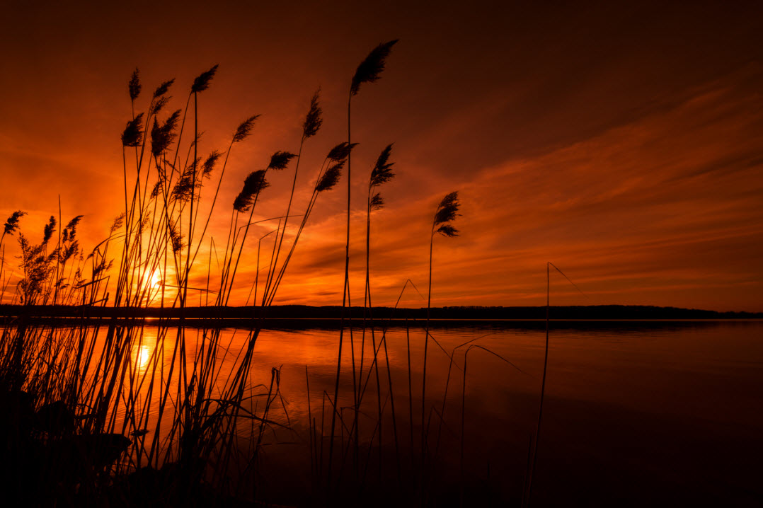 Sonnenuntergang an der Müritz