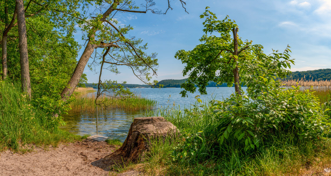 Blick auf den Werbellinsee vom Ufer aus am Tauchzugang "Dornbusch"