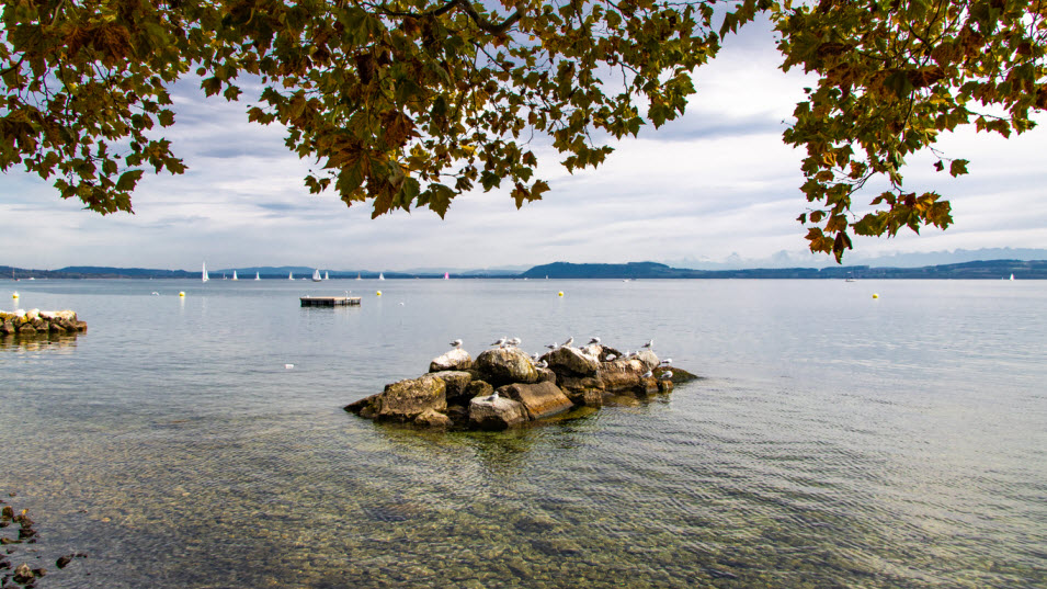 Blick auf den Neuenburgersee vom Ufer aus im Herbst